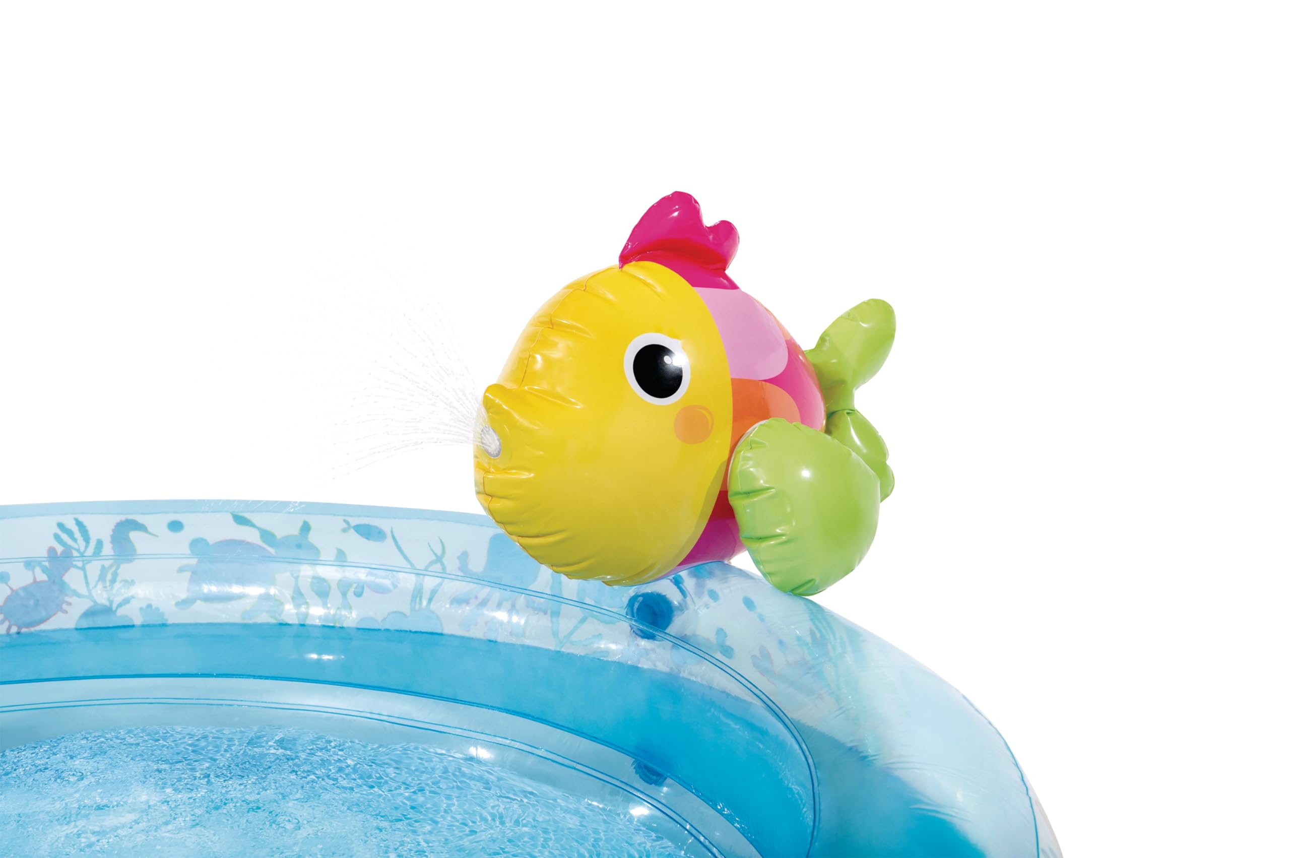 Amazon.com: INTEX Under The Sea Inflatable Kiddie Pool: Inflatable